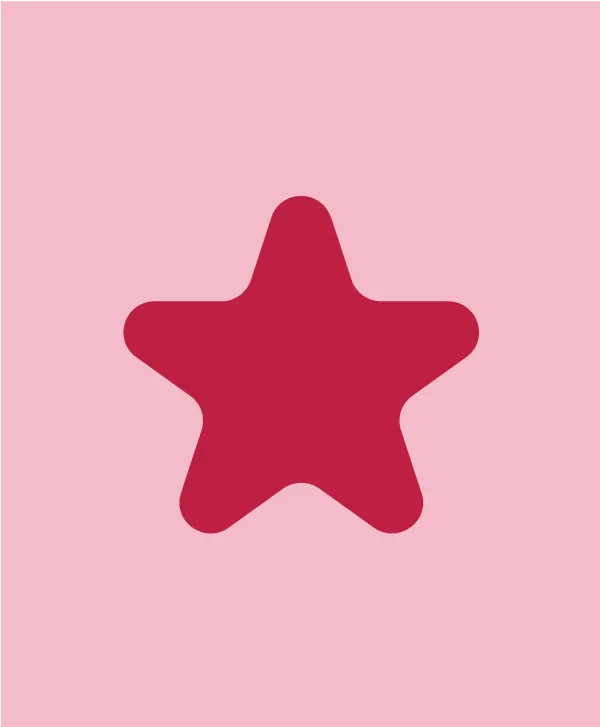 CSPNE_2023_Mockup_Icons_Star.png