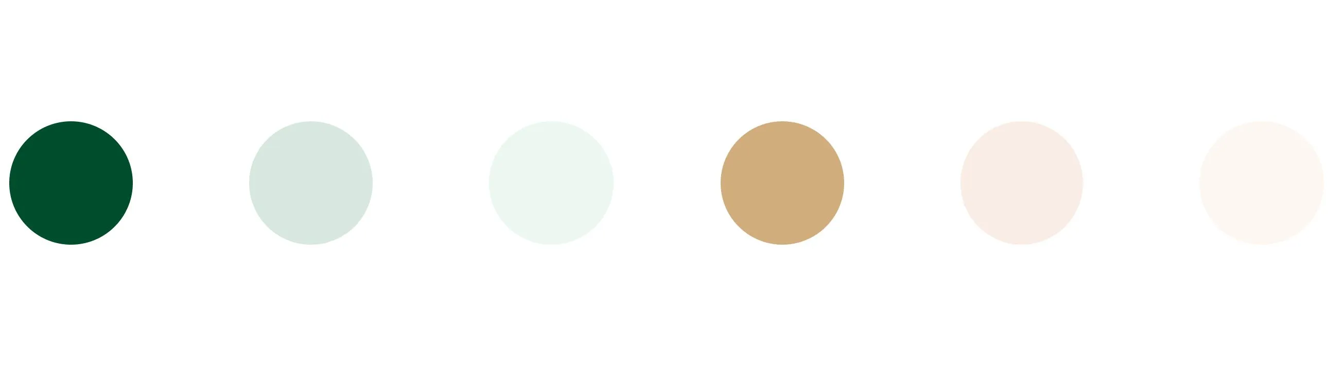 Roots&Wings_2022_Mockup_Palette.jpg