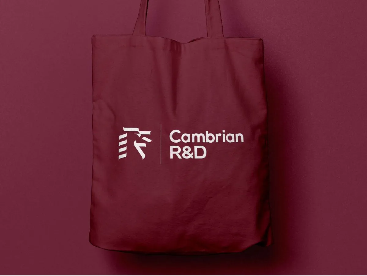 CambrianR&D_2022_Mockup_14_Tote.jpg