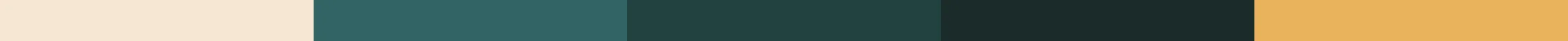 Carrefour_2022_LaNuitÉmergente_Mockup_S7_ColourPalette.jpg