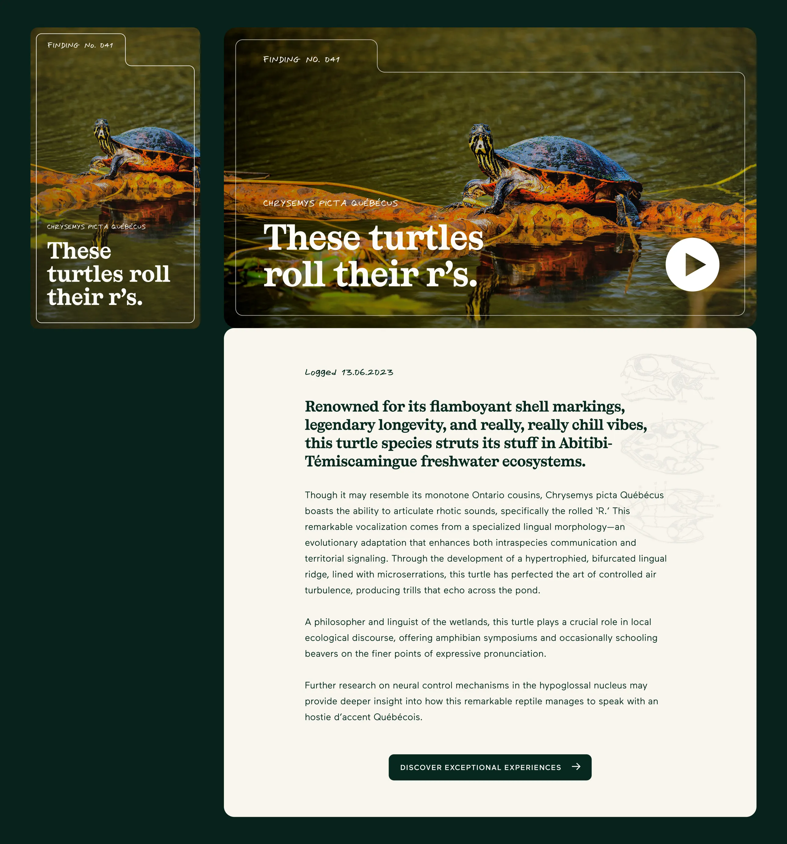 TAT_2025_Closebutdifferent_Mockup_Card_Turtle.jpg