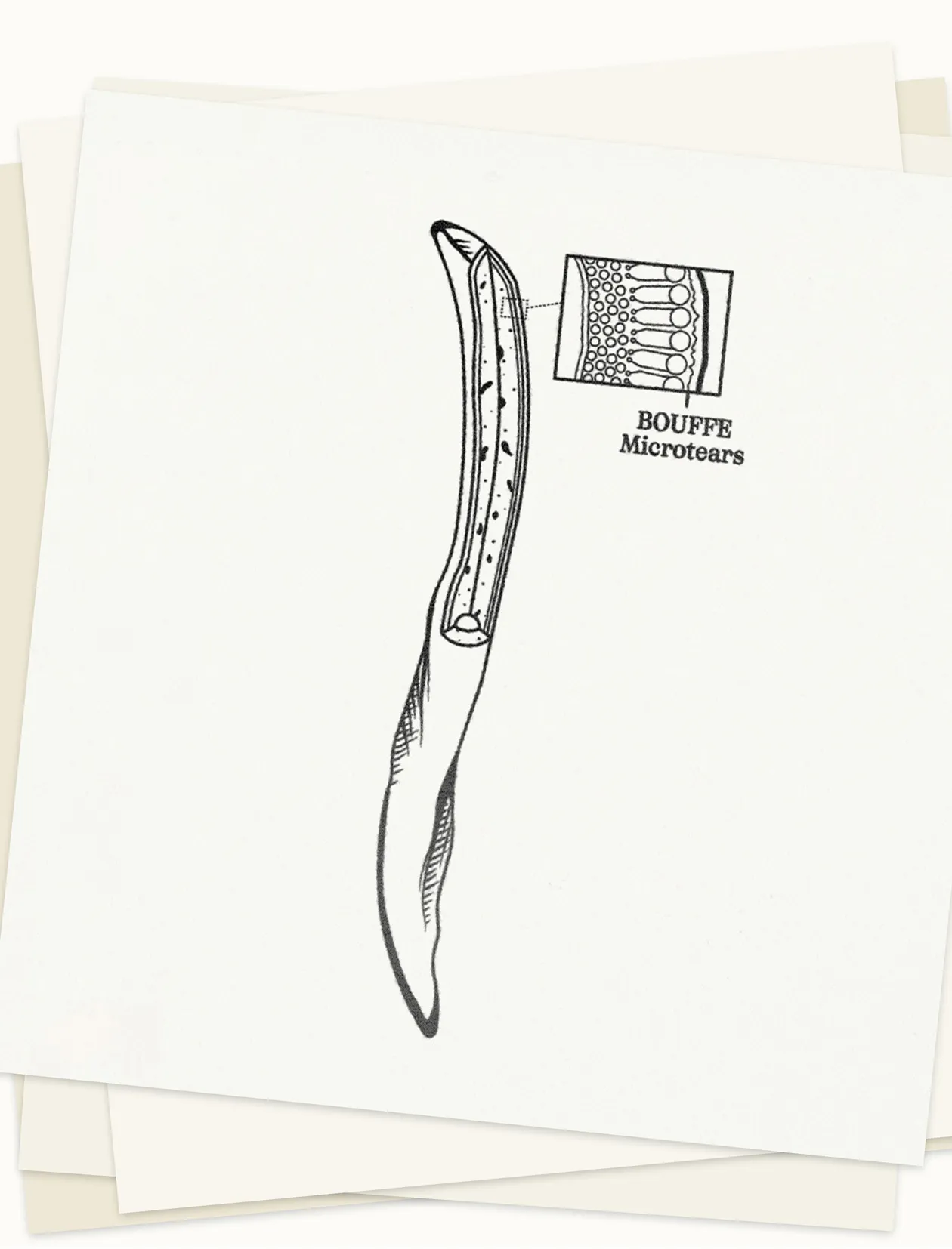 TAT_2025_Closebutdifferent_Mockup_Illustration_Fry.jpg