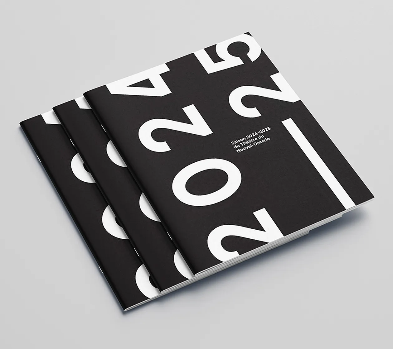TNO_2024-2025_Mockup_Pamphlet_Covers.jpg