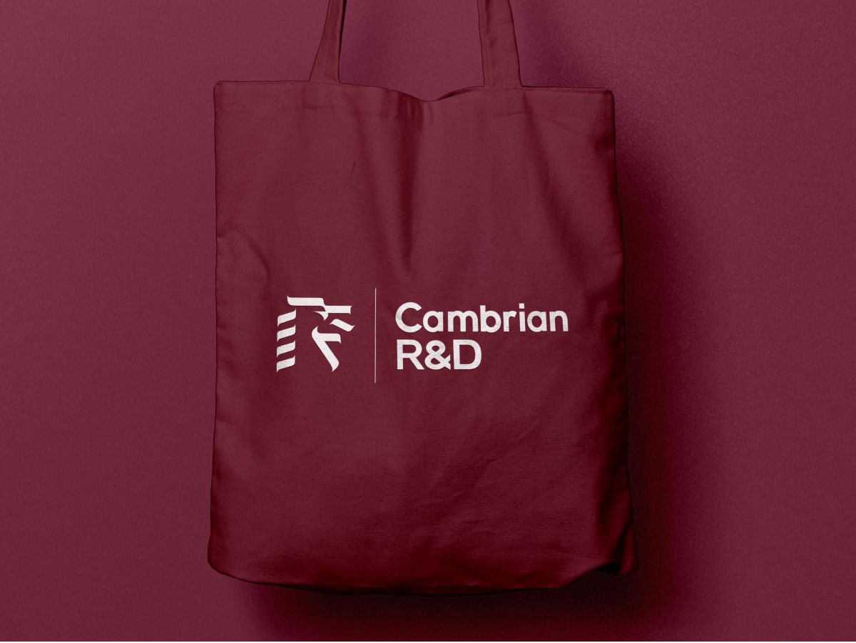 CambrianR&D_2022_Mockup_14_Tote.jpg