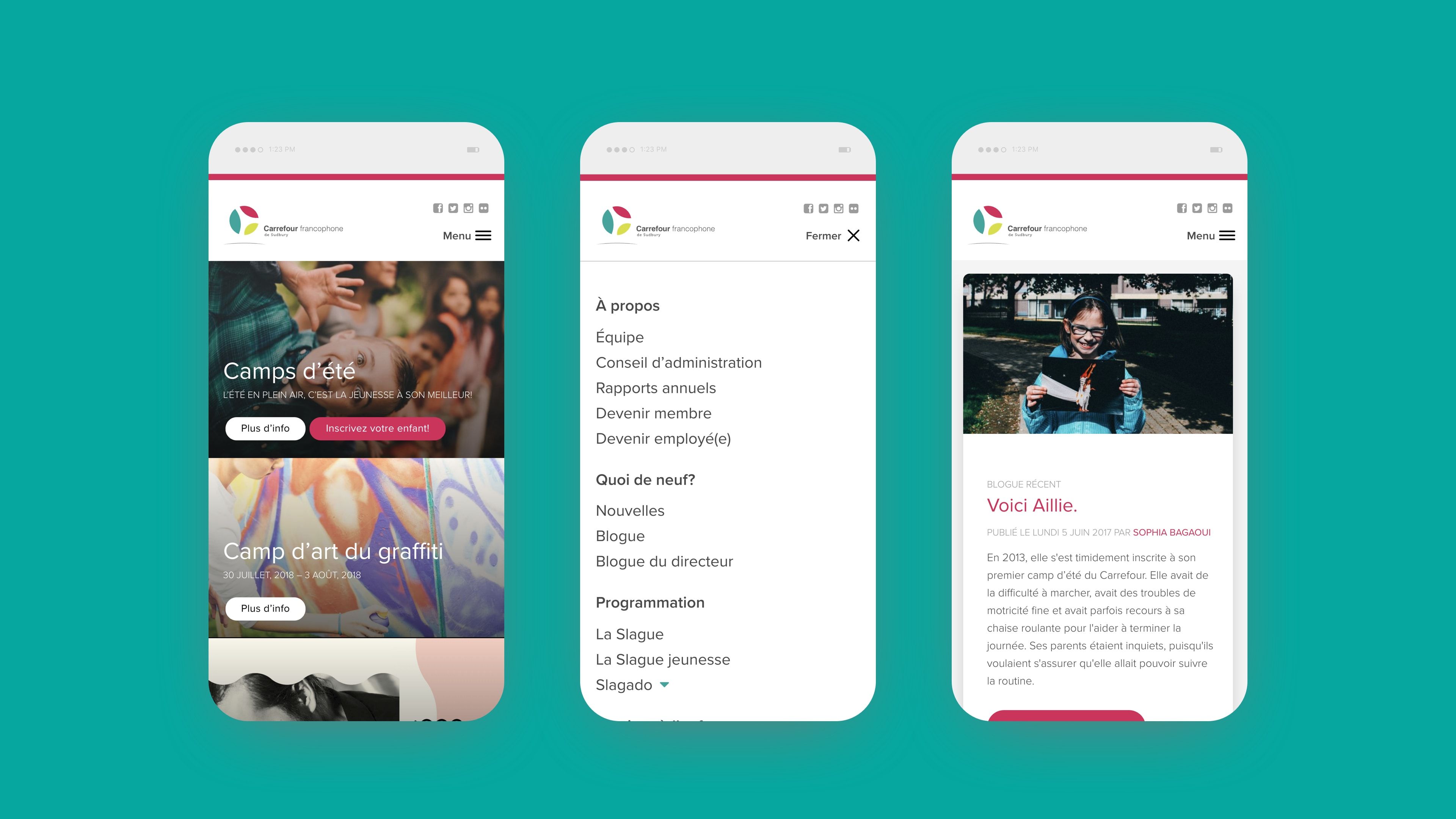 Carrefour-Mobile-Light-Template.jpg