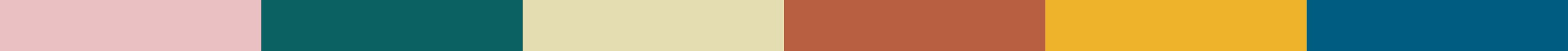 CollectiveHaus_2021_palette.jpg