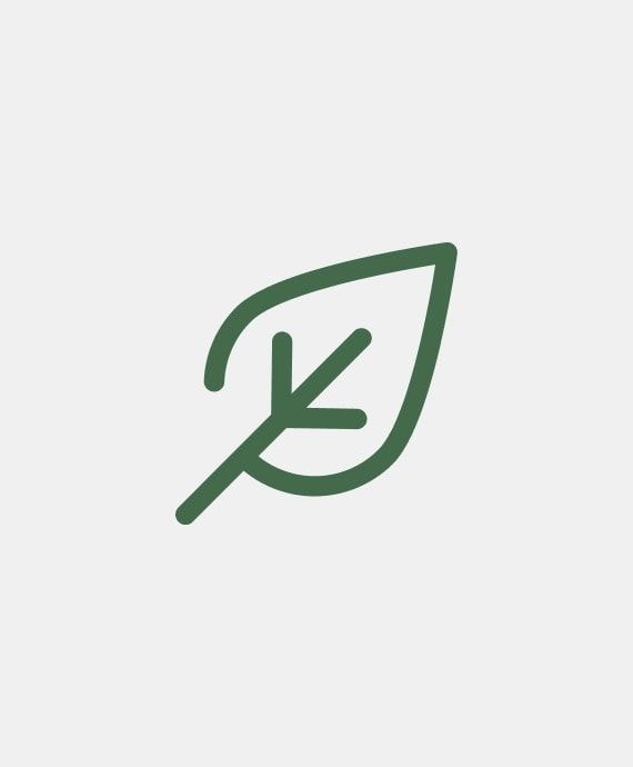CollegeBoreal_2021_Mockups_Icon1.jpg