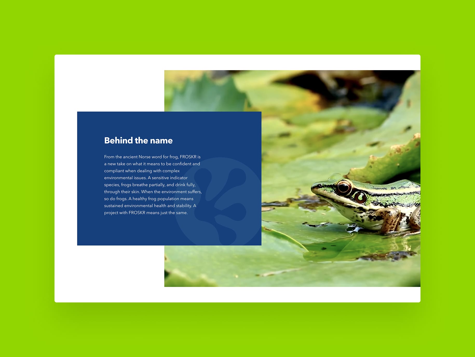 Philosophy panel from FROSKR About Us page